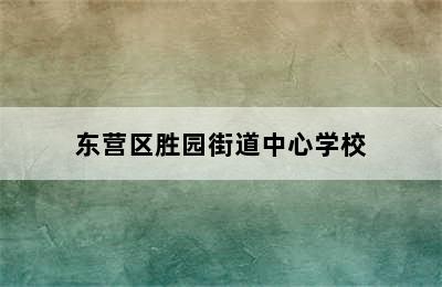 东营区胜园街道中心学校