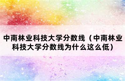 中南林业科技大学分数线（中南林业科技大学分数线为什么这么低）