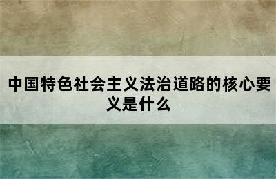 中国特色社会主义法治道路的核心要义是什么