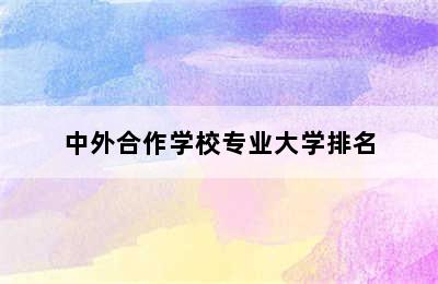 中外合作学校专业大学排名