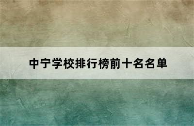 中宁学校排行榜前十名名单