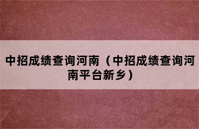 中招成绩查询河南（中招成绩查询河南平台新乡）