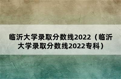 临沂大学录取分数线2022（临沂大学录取分数线2022专科）