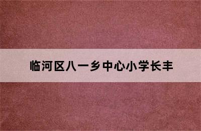 临河区八一乡中心小学长丰