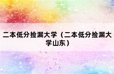 二本低分捡漏大学（二本低分捡漏大学山东）