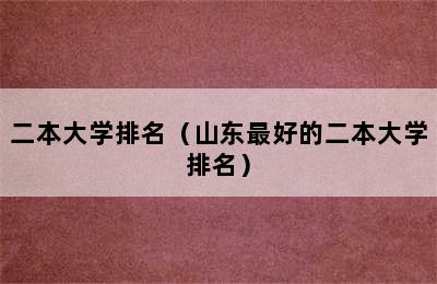 二本大学排名（山东最好的二本大学排名）