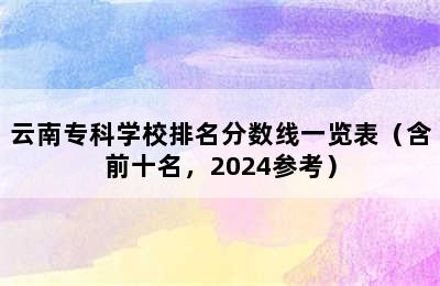 云南专科学校排名分数线一览表（含前十名，2024参考）