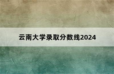 云南大学录取分数线2024