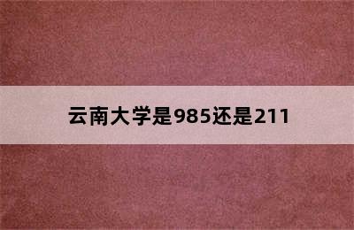 云南大学是985还是211