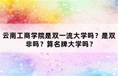 云南工商学院是双一流大学吗？是双非吗？算名牌大学吗？