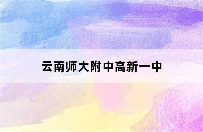 云南师大附中高新一中