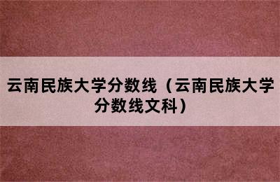 云南民族大学分数线（云南民族大学分数线文科）