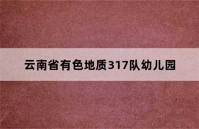 云南省有色地质317队幼儿园