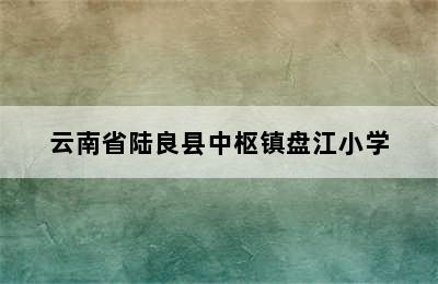 云南省陆良县中枢镇盘江小学