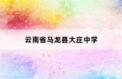 云南省马龙县大庄中学