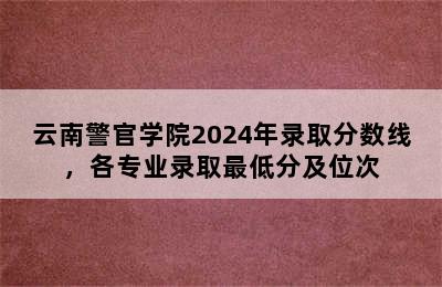 云南警官学院2024年录取分数线，各专业录取最低分及位次