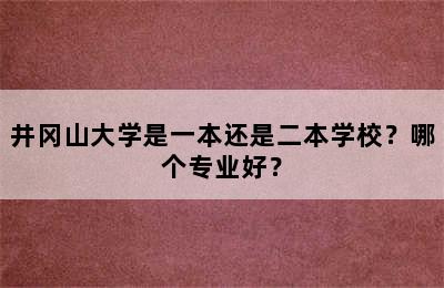 井冈山大学是一本还是二本学校？哪个专业好？