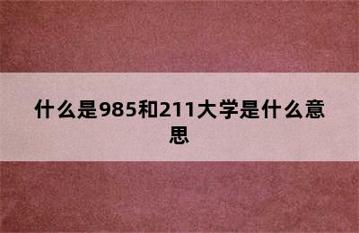 什么是985和211大学是什么意思