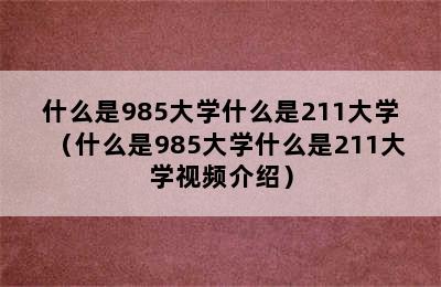 什么是985大学什么是211大学（什么是985大学什么是211大学视频介绍）