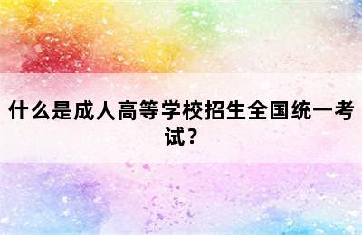 什么是成人高等学校招生全国统一考试？