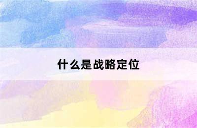 什么是战略定位