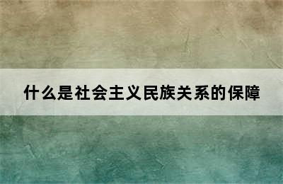 什么是社会主义民族关系的保障