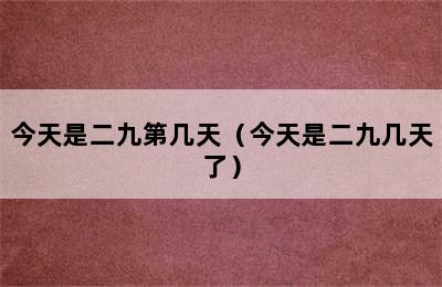 今天是二九第几天（今天是二九几天了）