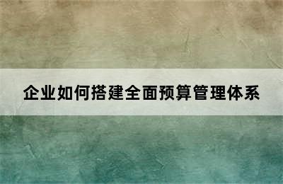 企业如何搭建全面预算管理体系