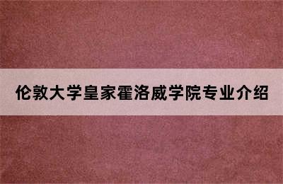 伦敦大学皇家霍洛威学院专业介绍