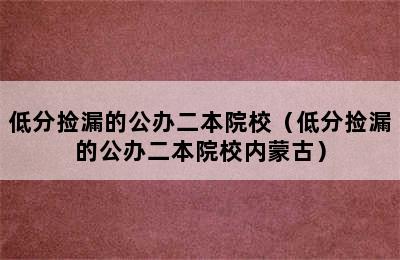 低分捡漏的公办二本院校（低分捡漏的公办二本院校内蒙古）