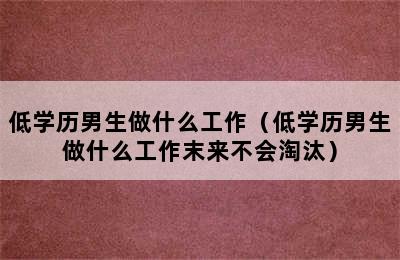 低学历男生做什么工作（低学历男生做什么工作末来不会淘汰）