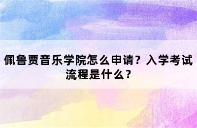 佩鲁贾音乐学院怎么申请？入学考试流程是什么？