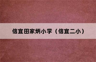 信宜田家炳小学（信宜二小）