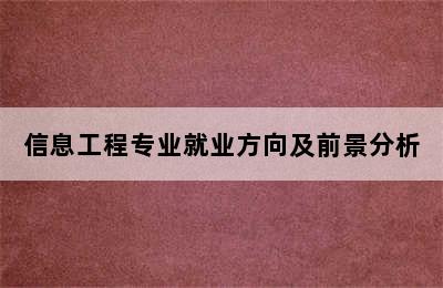 信息工程专业就业方向及前景分析