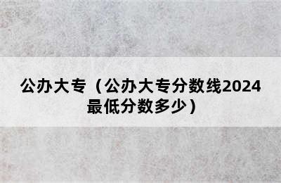 公办大专（公办大专分数线2024最低分数多少）