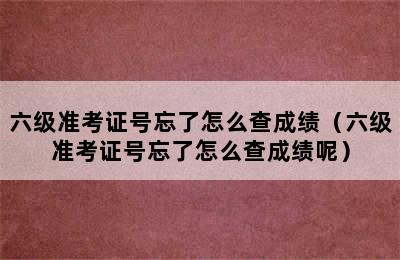 六级准考证号忘了怎么查成绩（六级准考证号忘了怎么查成绩呢）