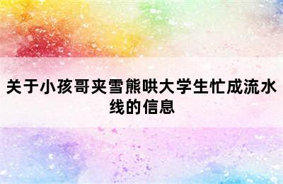 关于小孩哥夹雪熊哄大学生忙成流水线的信息