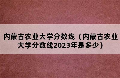 内蒙古农业大学分数线（内蒙古农业大学分数线2023年是多少）