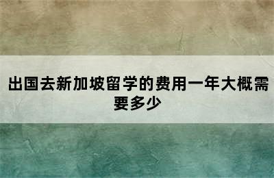 出国去新加坡留学的费用一年大概需要多少