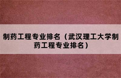 制药工程专业排名（武汉理工大学制药工程专业排名）