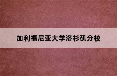 加利福尼亚大学洛杉矶分校