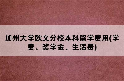 加州大学欧文分校本科留学费用(学费、奖学金、生活费)