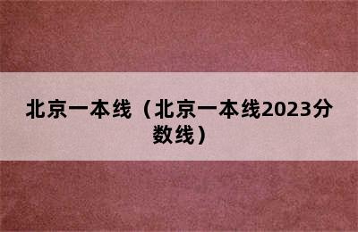 北京一本线（北京一本线2023分数线）