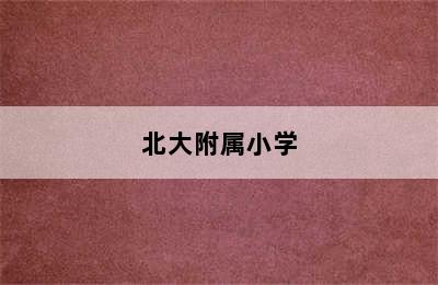 北大附属小学