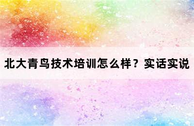 北大青鸟技术培训怎么样？实话实说