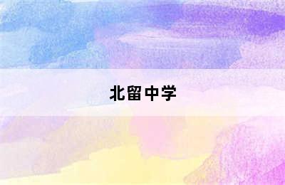北留中学
