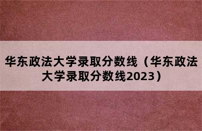 华东政法大学录取分数线（华东政法大学录取分数线2023）