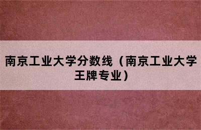 南京工业大学分数线（南京工业大学王牌专业）