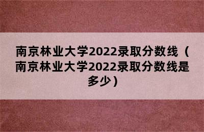 南京林业大学2022录取分数线（南京林业大学2022录取分数线是多少）