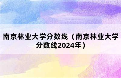 南京林业大学分数线（南京林业大学分数线2024年）